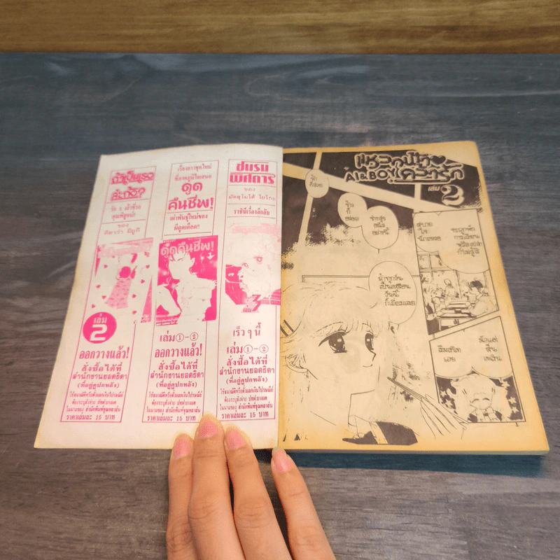 แหวกฟ้าคว้ารัก เล่ม 2 รูปที่ 6