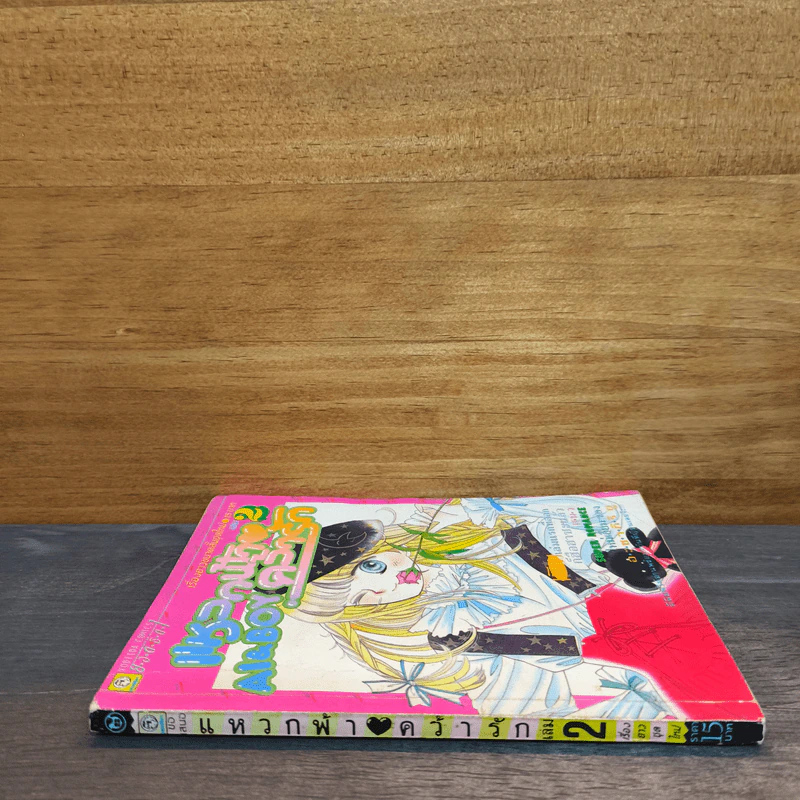 แหวกฟ้าคว้ารัก เล่ม 2 รูปที่ 2