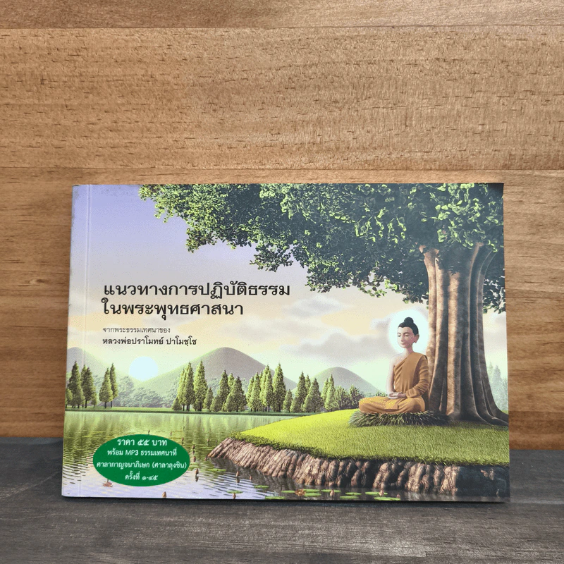 แนวทางการปฏิบัติธรรมในพระพุทธศาสนา - หลวงพ่อปราโมทย์ ปาโมชฺโช รูปที่ 1