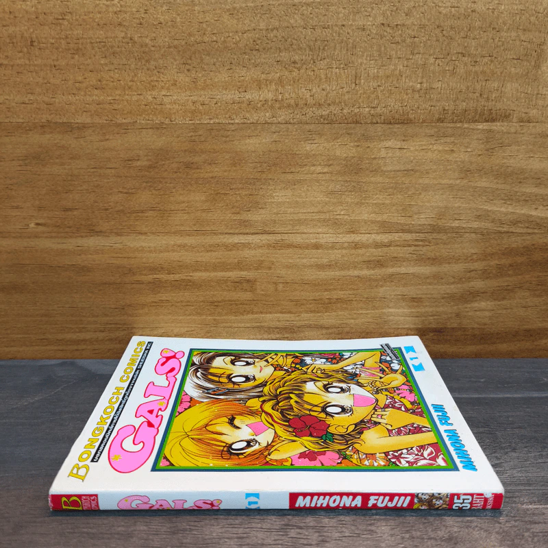 Gals เล่ม 1 รูปที่ 2
