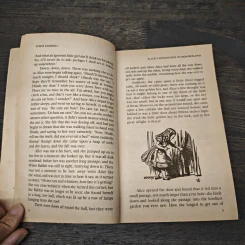 Alice's Adventures in Wonderland - Lewis Carroll รูปที่ 8