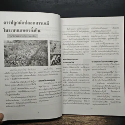 ผักปลอดสารเคมี ปลูกอย่างไรให้ประสบความสำเร็จ - วารี ยินดีชาติ รูปที่ 7