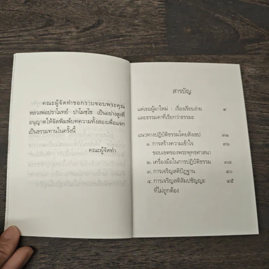 แด่เธอผู้มาใหม่ เรื่องเรียบง่ายและธรรมดาที่เรียกว่าธรรมะ - สันตินันท์ รูปที่ 7