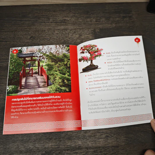 Feng Shui : Balancing Your Home รูปที่ 8