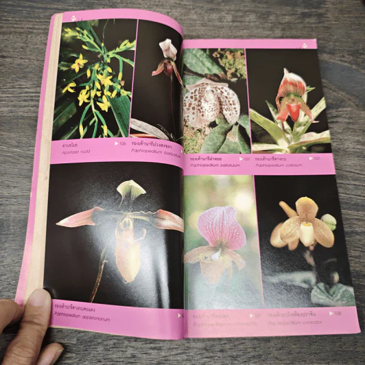 คู่มือกล้วยไม้ - สลิด สิทธิสัจจธรรม รูปที่ 8