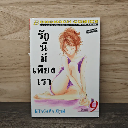 รักนี้มีเพียงเรา เล่ม 9 รูปที่ 1