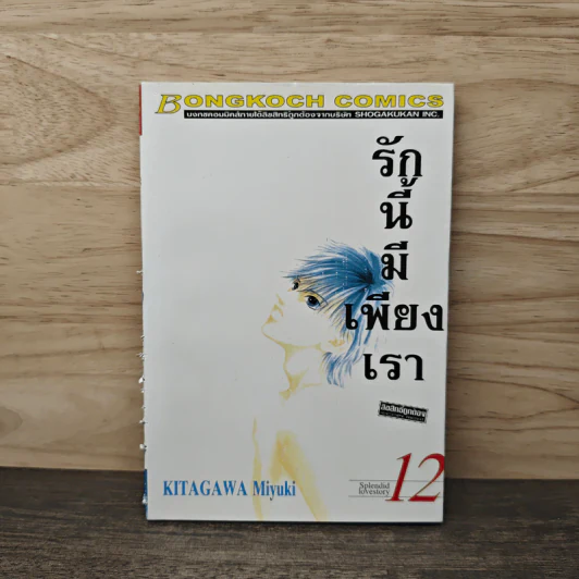 รักนี้มีเพียงเรา เล่ม 12 รูปที่ 1