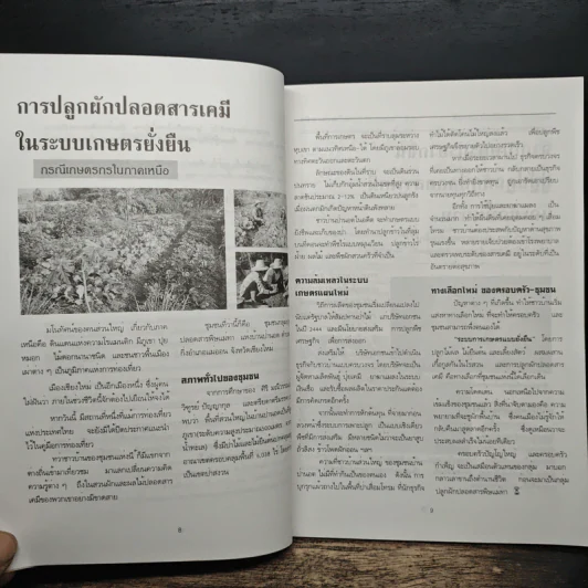 ผักปลอดสารเคมี ปลูกอย่างไรให้ประสบความสำเร็จ - วารี ยินดีชาติ รูปที่ 7