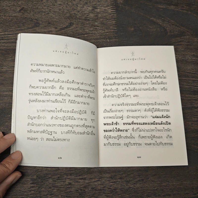 แด่เธอผู้มาใหม่ เรื่องเรียบง่ายและธรรมดาที่เรียกว่าธรรมะ - สันตินันท์ รูปที่ 8