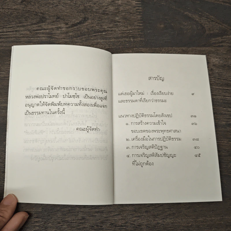 แด่เธอผู้มาใหม่ เรื่องเรียบง่ายและธรรมดาที่เรียกว่าธรรมะ - สันตินันท์ รูปที่ 7