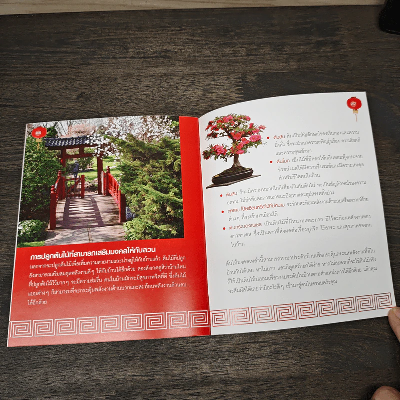Feng Shui : Balancing Your Home รูปที่ 8