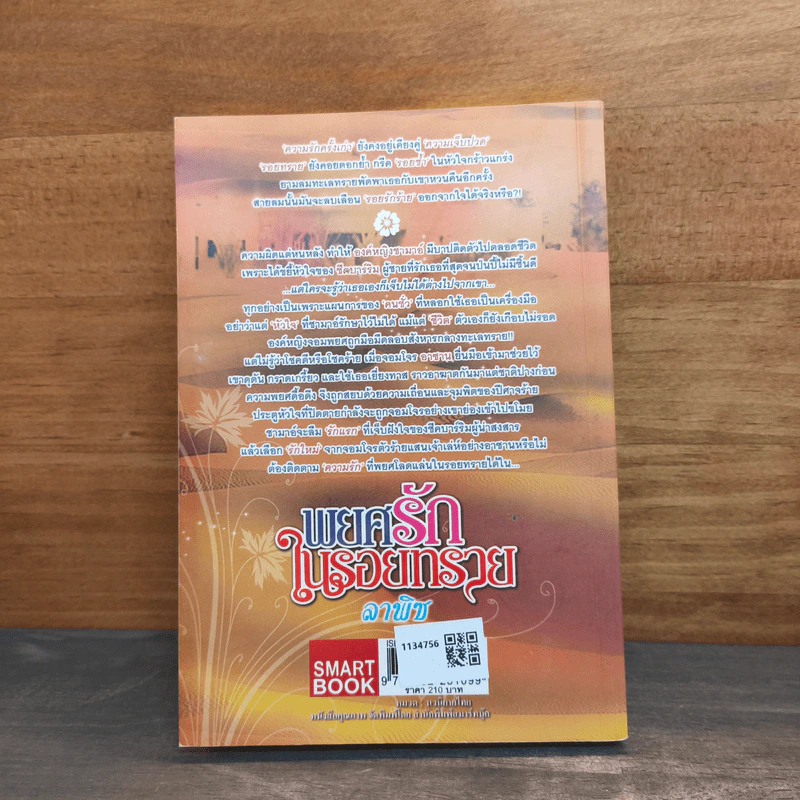 พยศรักในรอยทราย - ลาพิซ รูปที่ 5