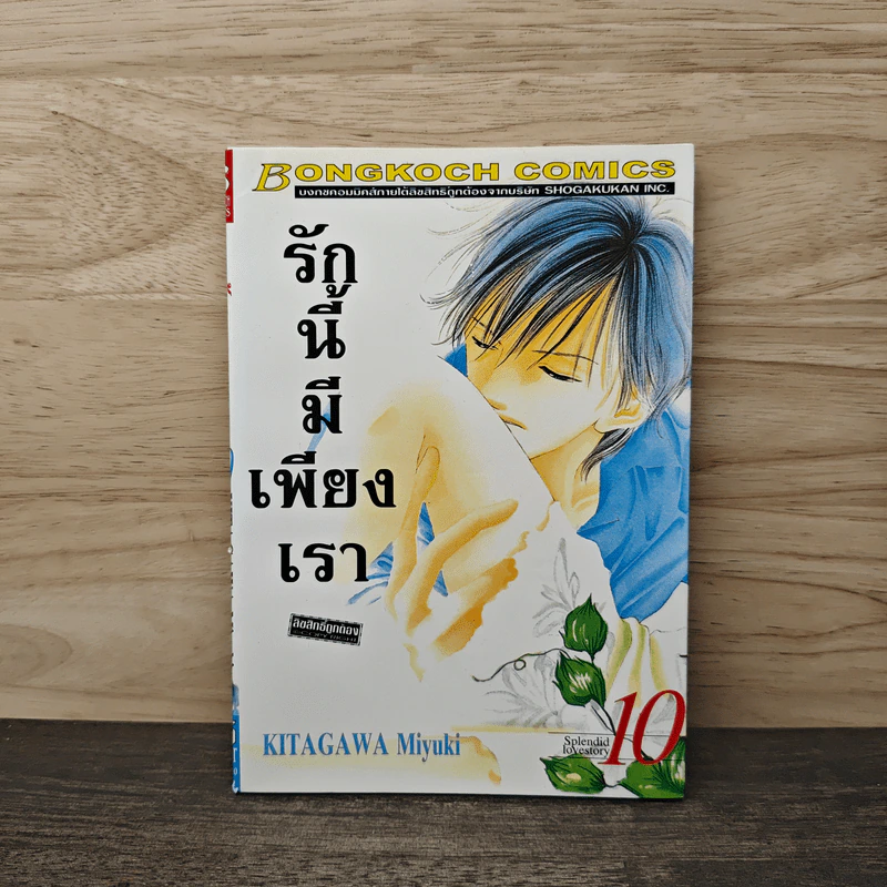 รักนี้มีเพียงเรา เล่ม 10 รูปที่ 1