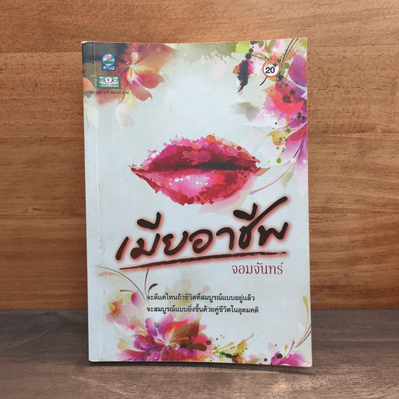 เมียอาชีพ - จอมจันทร์ รูปที่ 1