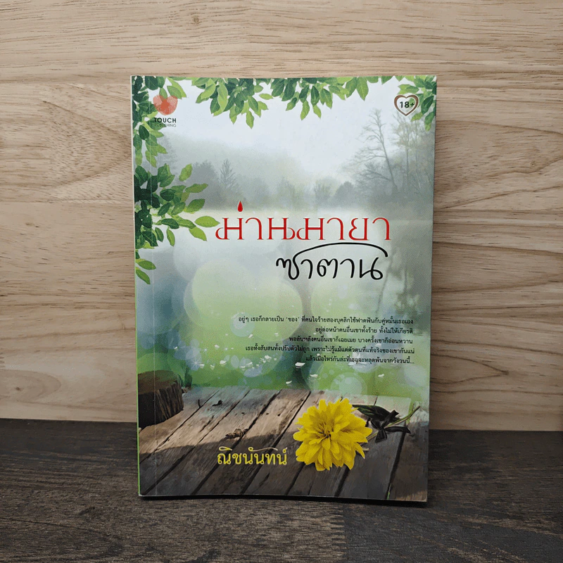 ม่านมายาซาตาน - ณิชนันทน์ รูปที่ 1