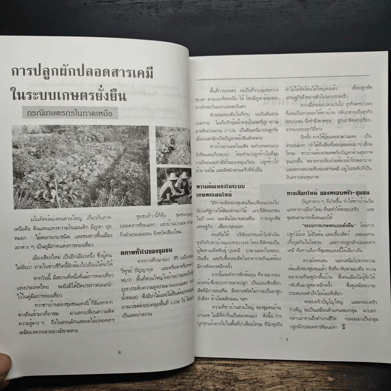 ผักปลอดสารเคมี ปลูกอย่างไรให้ประสบความสำเร็จ - วารี ยินดีชาติ รูปที่ 7