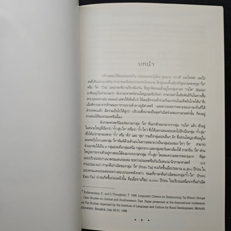 "ไท" และ "จ้วง" ในมณฑลยูนนาน สาธารณรัฐประชาชนจีน รูปที่ 9