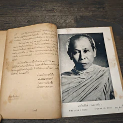 เมื่อต้นโพธิ์ใหญ่โค่น รูปที่ 6