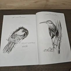 วาดเส้นฝึกมือ ชุด วาดเส้นพื้นฐาน - อ.ธานี สังข์เอี้ยว รูปที่ 10