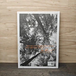 ปาจารยสาร ฉบับที่ 3 ปีที่ 33 ก.ค.-ส.ค.2552 รูปที่ 5