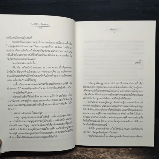 ร้ายดีนัก... รักซะเลย - ฟองฟาง รูปที่ 8