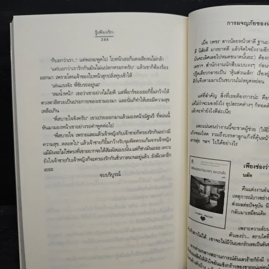 รู้เพียงรัก - เมเปิ้ลสีขาว รูปที่ 8