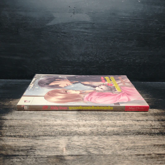 Melty Kisses จูบละลายใจนายตัวร้ายกับยัยตัวป่วน รูปที่ 3