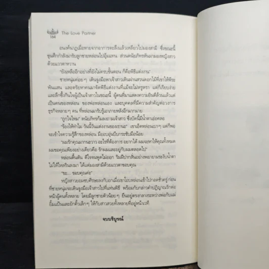 The Love Partner - ปิงปิง รูปที่ 8