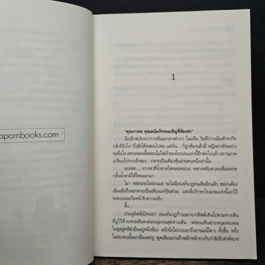 The Love Partner - ปิงปิง รูปที่ 7