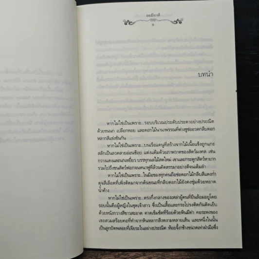 ในอ้อมกอดแห่งสายฟ้า - อะมีราห์ รูปที่ 7
