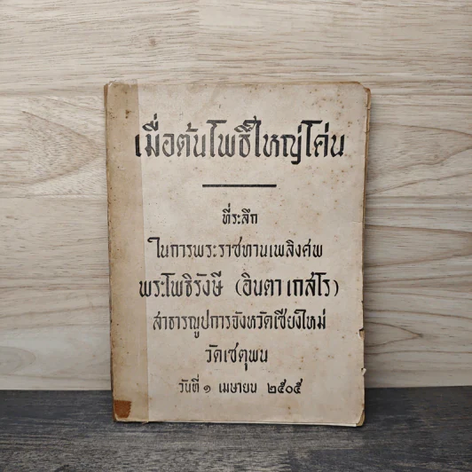 เมื่อต้นโพธิ์ใหญ่โค่น รูปที่ 1