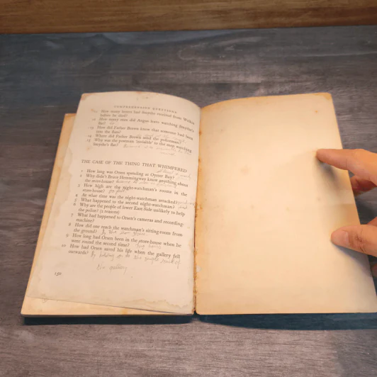 Stories of Detection and Mystery รูปที่ 9