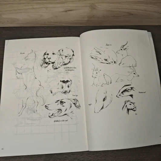 การวาดภาพนกและสัตว์ รูปที่ 8