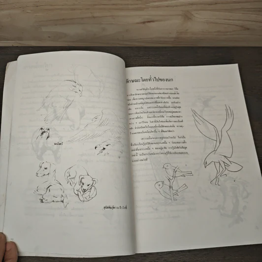การวาดภาพนกและสัตว์ รูปที่ 7