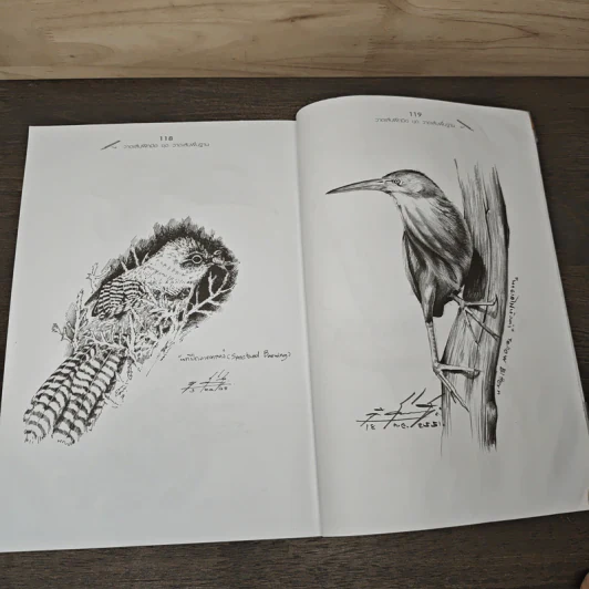 วาดเส้นฝึกมือ ชุด วาดเส้นพื้นฐาน - อ.ธานี สังข์เอี้ยว รูปที่ 10