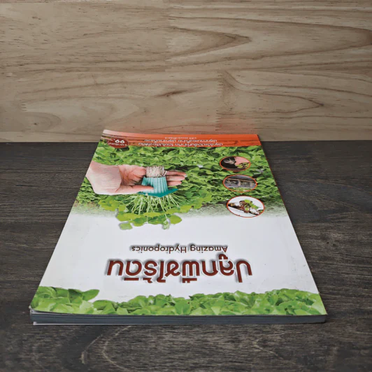ปลูกพืชไร้ดิน Amazing Hydroponics รูปที่ 4