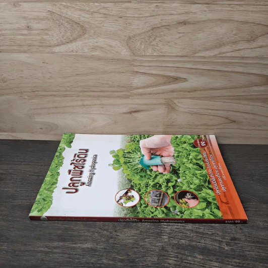 ปลูกพืชไร้ดิน Amazing Hydroponics รูปที่ 2
