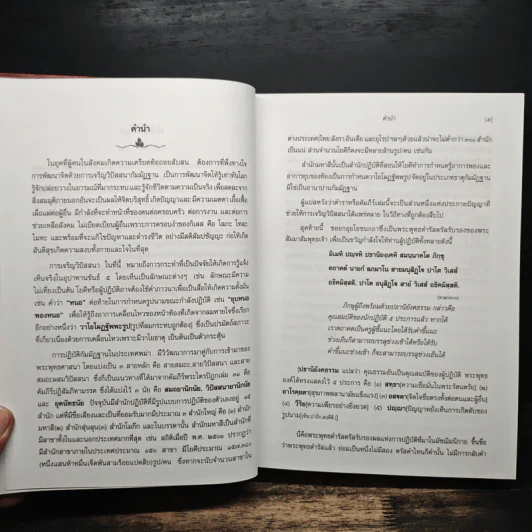 วิปัสสนาชุนี หลักการปฏิบัติวิปัสสนา [ฉบับสมบูรณ์] - พระโสภณมหาเถระ (มหาสีสยาดอ), จำรูญ ธรรมดา รูปที่ 7