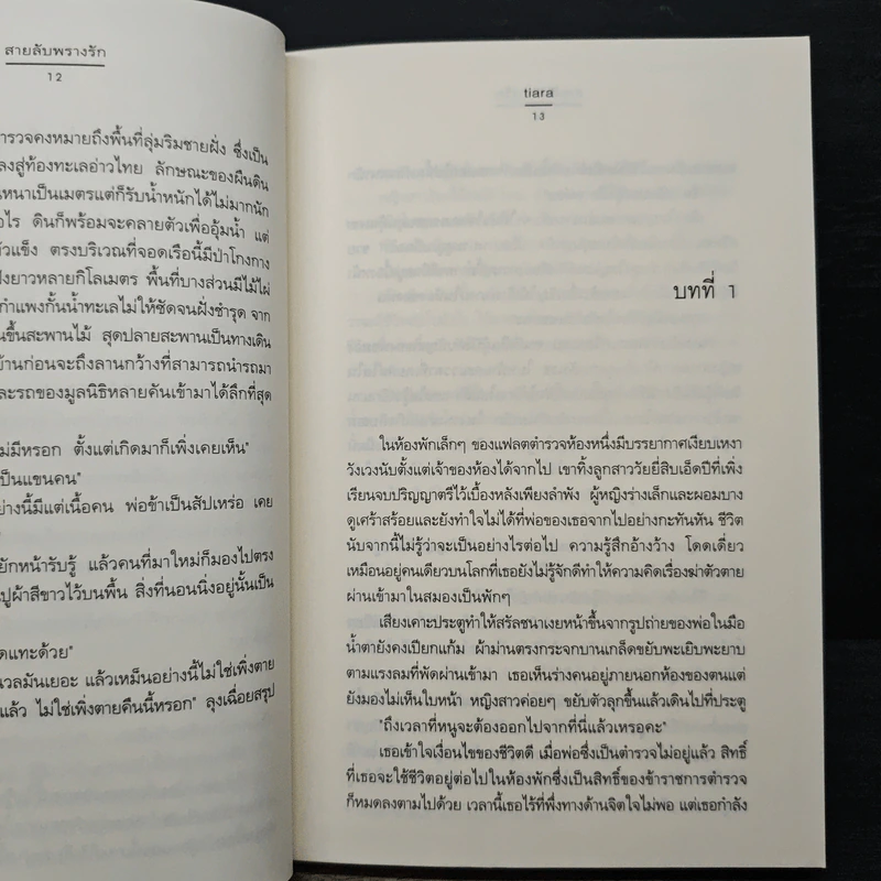 สาบลับพรางรัก - tiara รูปที่ 8