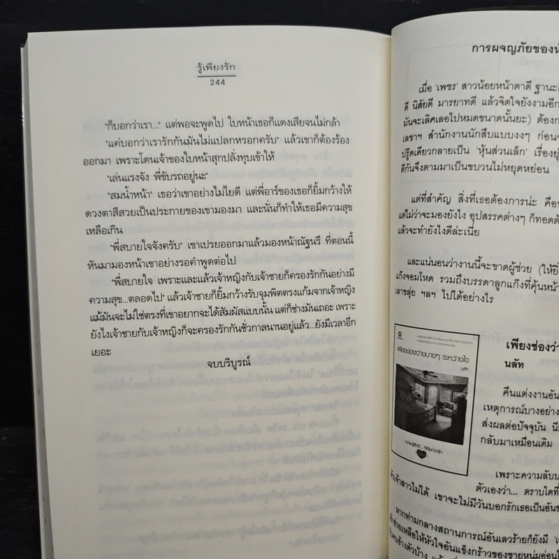 รู้เพียงรัก - เมเปิ้ลสีขาว รูปที่ 8