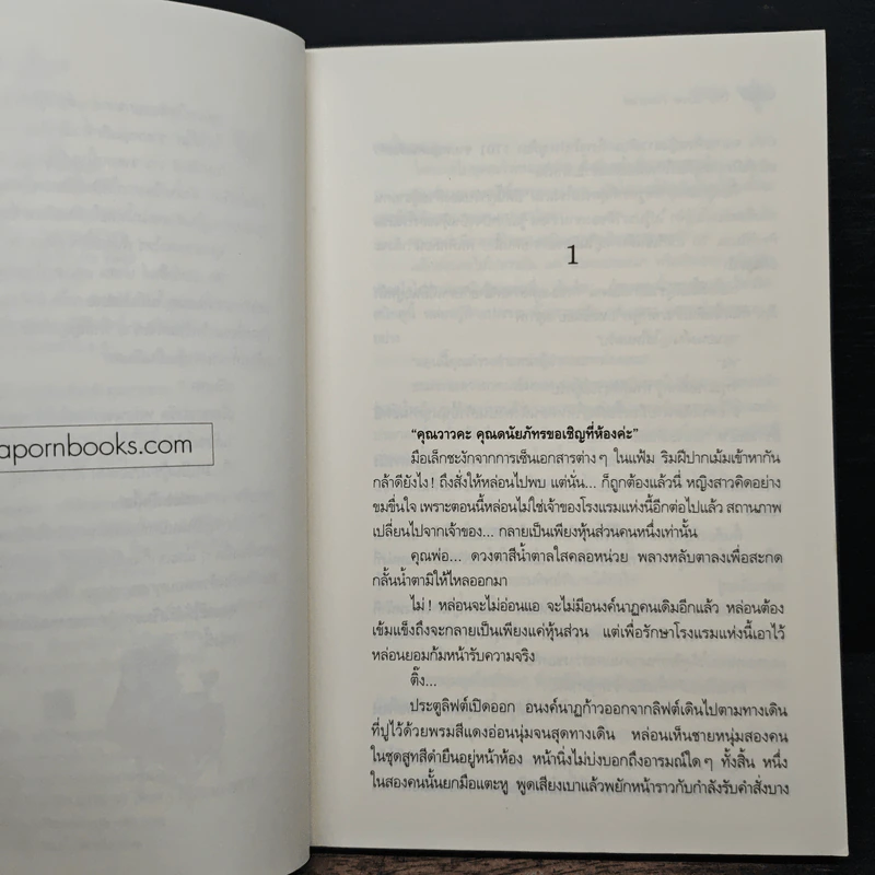 The Love Partner - ปิงปิง รูปที่ 7