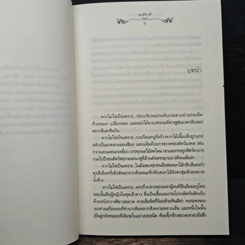 ในอ้อมกอดแห่งสายฟ้า - อะมีราห์ รูปที่ 7