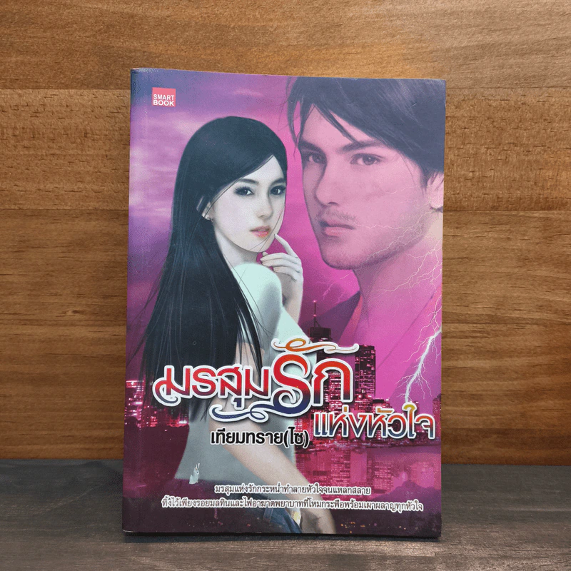 มรสุมรักแห่งหัวใจ - เทียมทราย(ไซ) รูปที่ 1