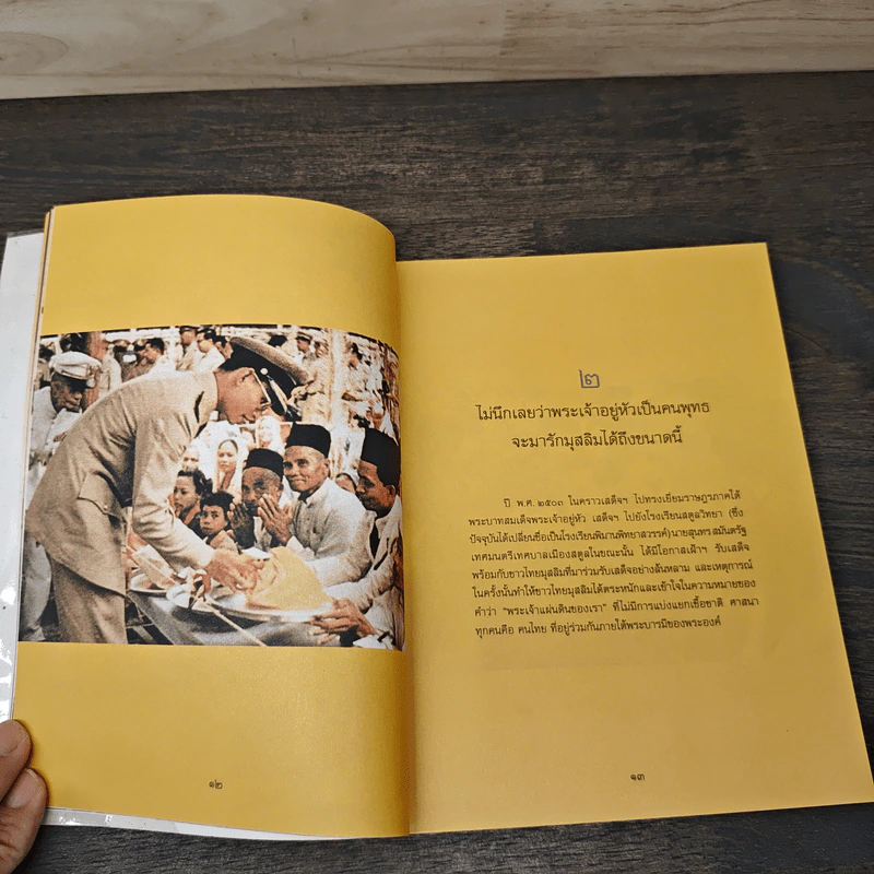 ในหลวงของฉัน รูปที่ 7