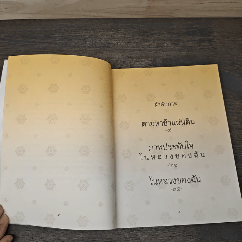 ในหลวงของฉัน รูปที่ 6