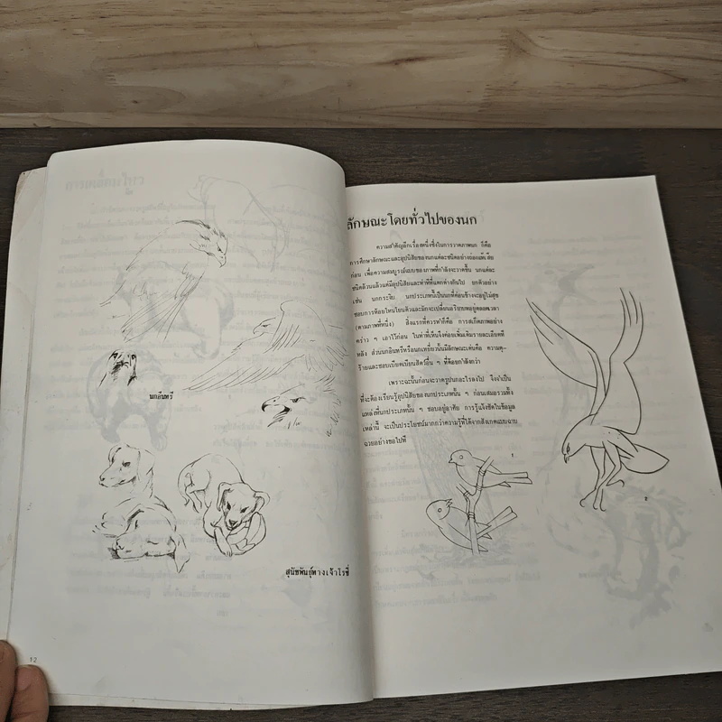 การวาดภาพนกและสัตว์ รูปที่ 7