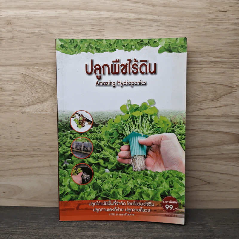 ปลูกพืชไร้ดิน Amazing Hydroponics รูปที่ 1