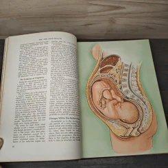 You And Your Health Vol.1 - Shryock & Swartout รูปที่ 7
