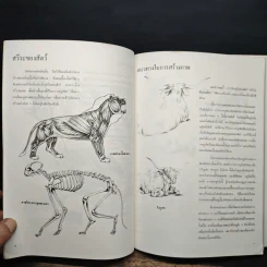 การวาดภาพนกและสัตว์ รูปที่ 8