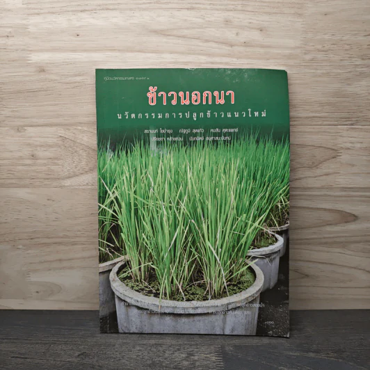 ข้าวนอกนา นวัตกรรมการปลูกข้าวแนวใหม่ - สรานนท์ ใยบำรุง, ณัฐภูมิ สุดแก้ว รูปที่ 1
